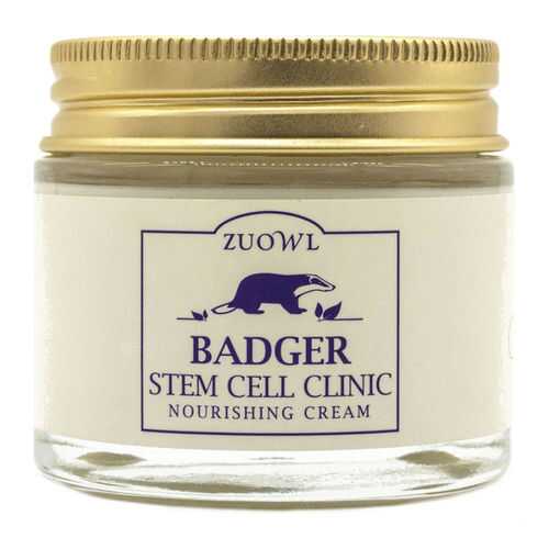 Крем для лица JUNO Badger Stem Cell Clinic Nourishing Cream 80 г в Mirra